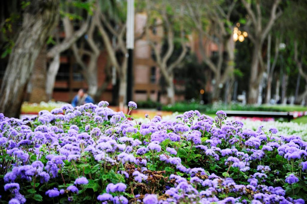 Roosevelt Hotel & Suites Λίμα Εξωτερικό φωτογραφία